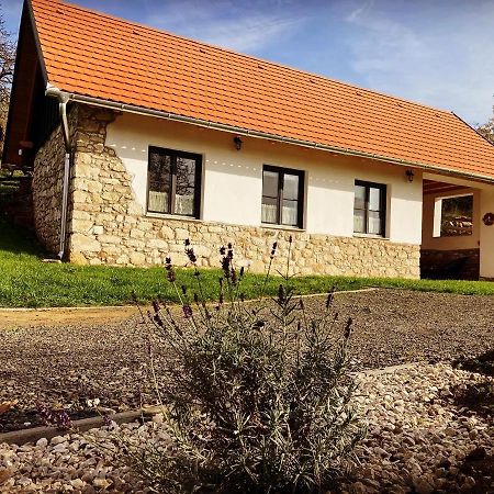 Hotel Kishosszuret Vendeghaz Pécsvárad Exteriér fotografie