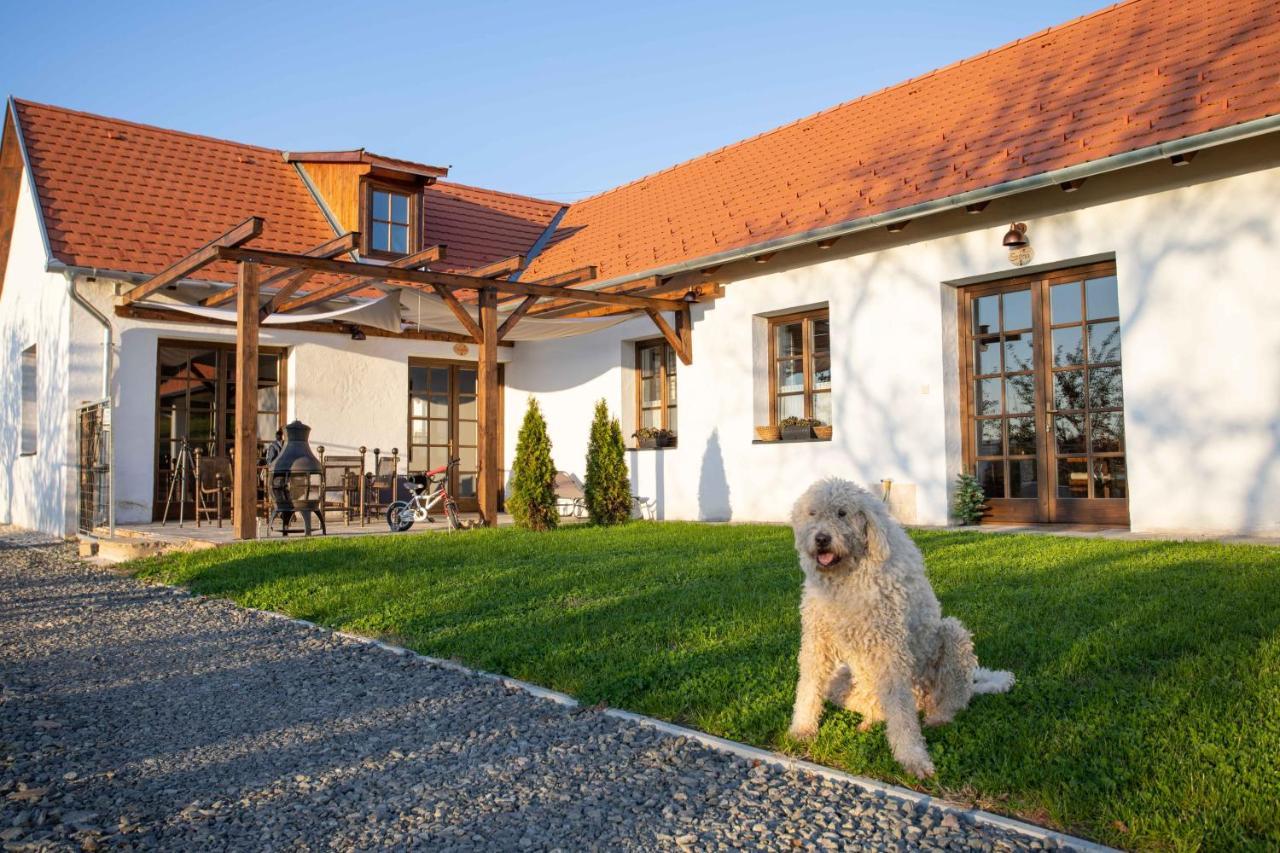 Hotel Kishosszuret Vendeghaz Pécsvárad Exteriér fotografie