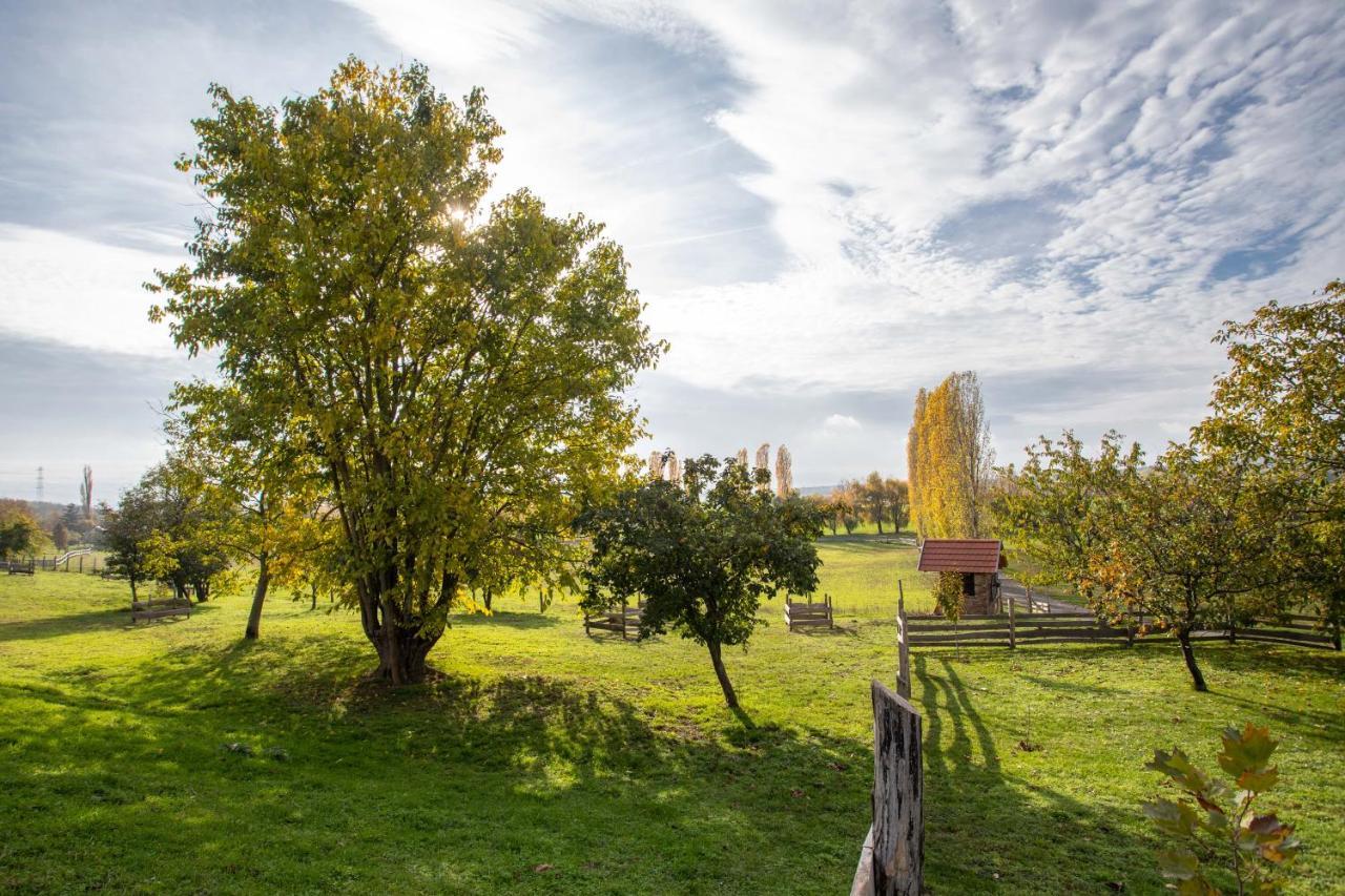Hotel Kishosszuret Vendeghaz Pécsvárad Exteriér fotografie