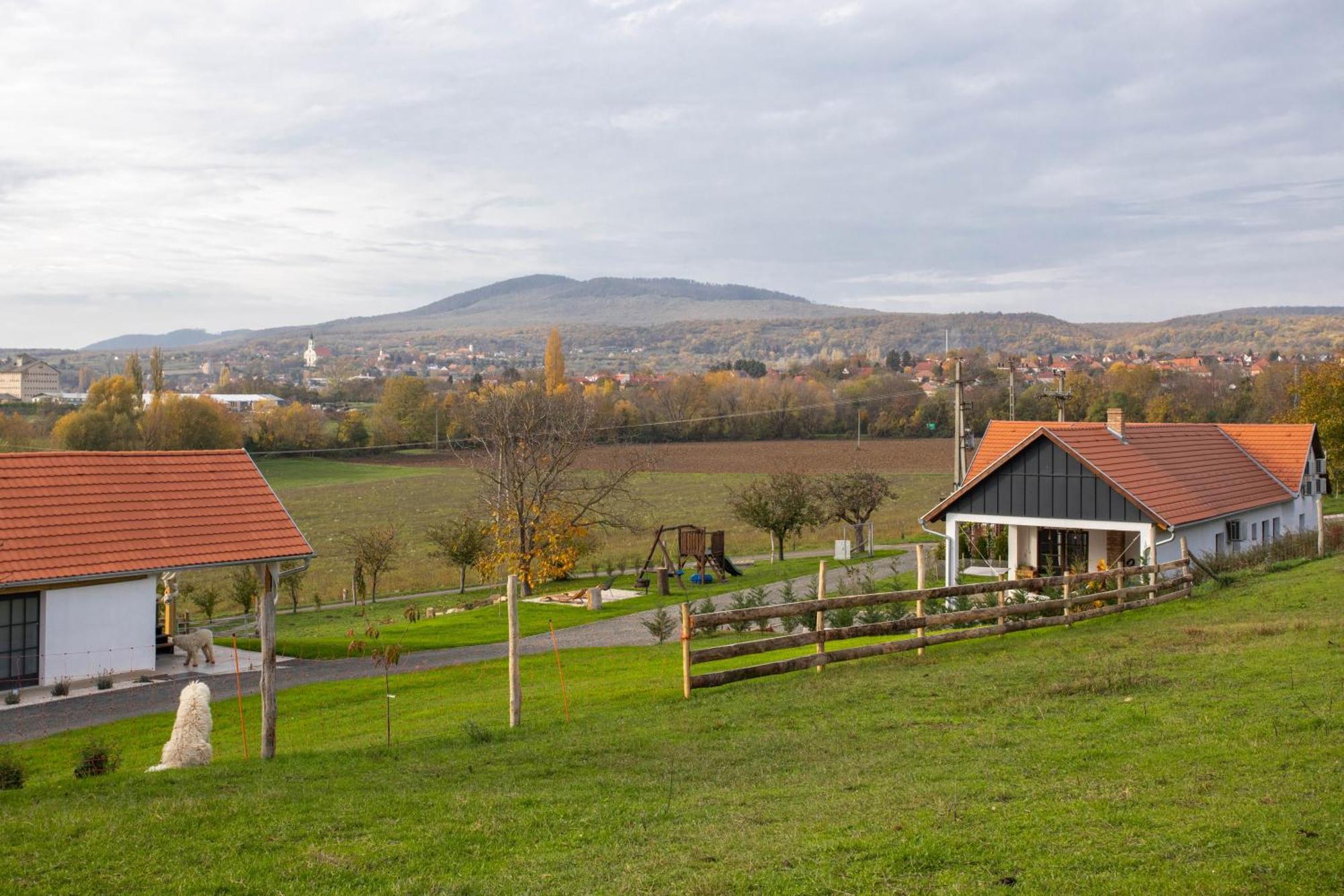 Hotel Kishosszuret Vendeghaz Pécsvárad Exteriér fotografie