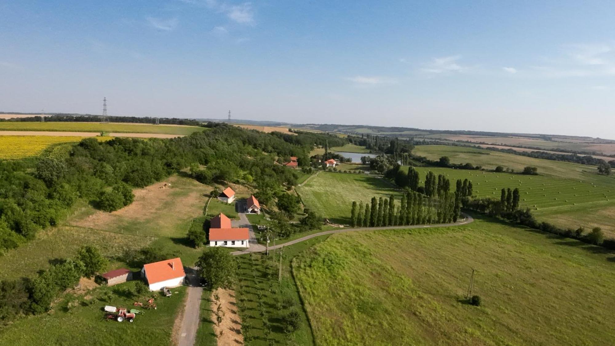 Hotel Kishosszuret Vendeghaz Pécsvárad Exteriér fotografie